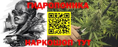 дмт Обь